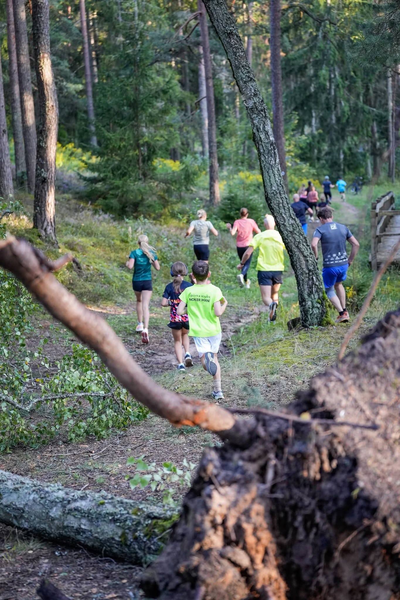 Apkārt Zilajiem kalniem - 11.kārtas rezultāti