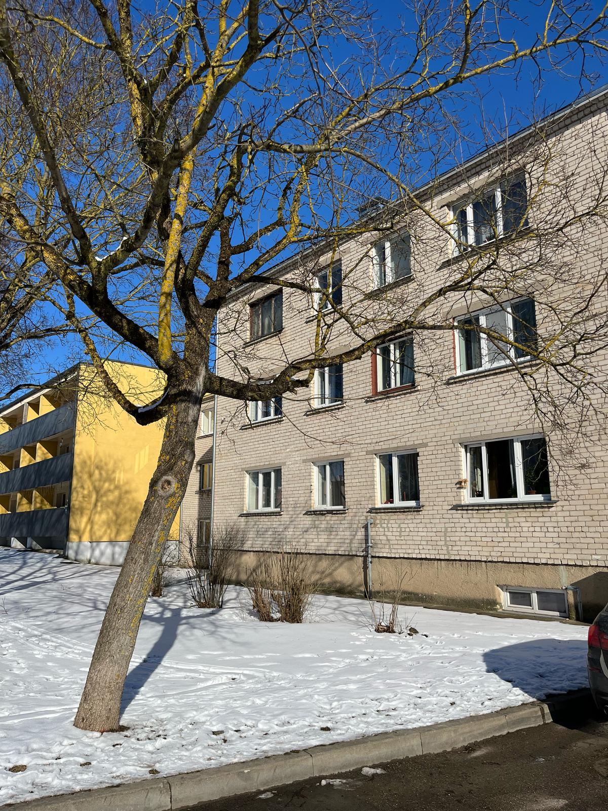 Uzvaras iela 10a, Dobele